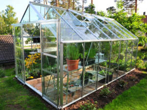 Are Your Plants Feeling Cold? Are Your Plants Feeling Cold?
