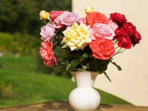How To Keep Rose Stalks Fresh For Long? How To Keep Rose Stalks Fresh For Long?