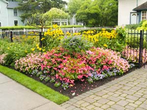 How To Maintain A Flower Garden? How To Maintain A Flower Garden?