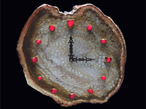 Expensive Valentine Gift On Auction Expensive Valentine Gift On Auction