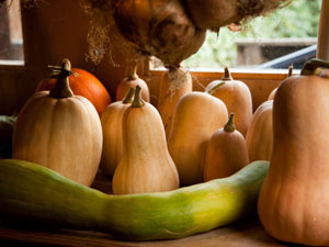 Vitamin A Foods: Orange Colour Of Health Vitamin A Foods: Orange Colour Of Health