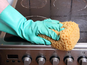 Natural Alternatives For Home Cleaning Natural Alternatives For Home Cleaning
