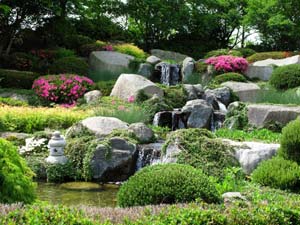 Making A Rock Garden In Your Apartment Making A Rock Garden In Your Apartment