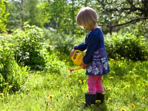 Natural Alternatives For Garden Chemical Natural Alternatives For Garden Chemical