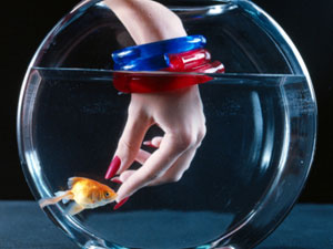 What Is The Best Time To Feed Fish? What Is The Best Time To Feed Fish?