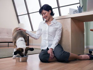 Homemade Pet Food For Your Dog!