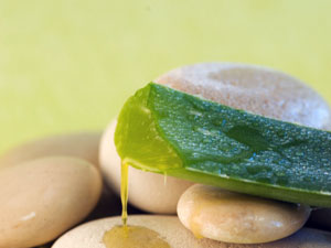 Aloe Vera Face Packs For Your Skin! Aloe Vera Face Packs For Your Skin!