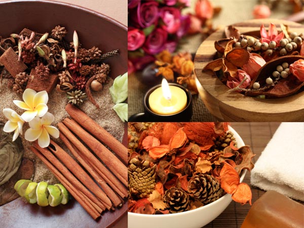 Multiple Uses Of Aromatic Plants Multiple Uses Of Aromatic Plants