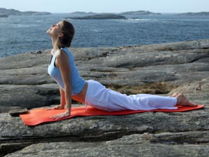 Benefits Of Surya Namaskar Benefits Of Surya Namaskar