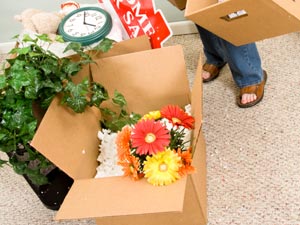 Decorate Your New House In Budget Decorate Your New House In Budget