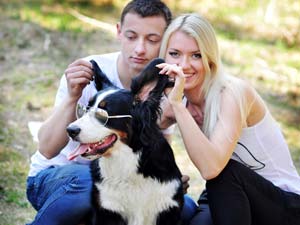 Ideal Pets For Working Couples Ideal Pets For Working Couples