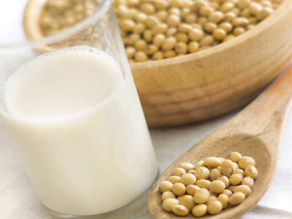 Soy And Soy Products Soy And Soy Products
