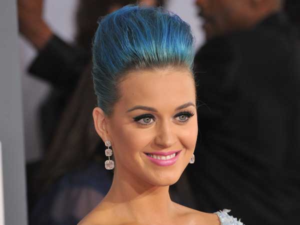 The Elegant Updo The Elegant Updo
