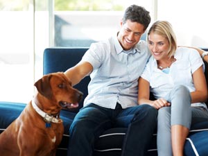 Why Keeping Pets Is Good? Why Keeping Pets Is Good?