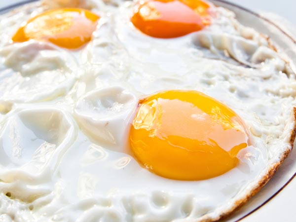 Egg Whites Egg Whites