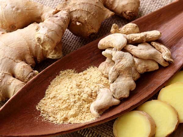 The Root Of Ginger The Root Of Ginger