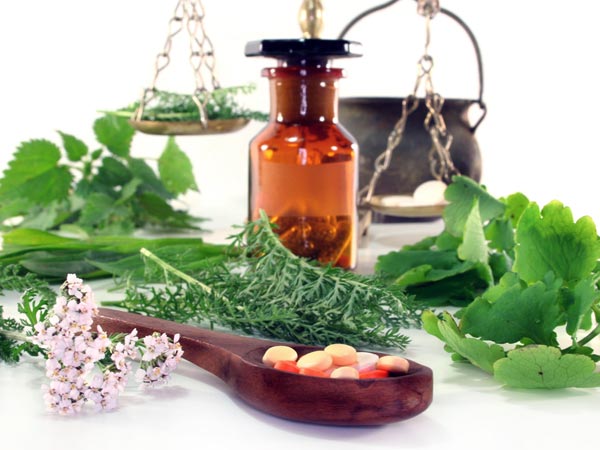 Plant Manures You Already Have At Home Plant Manures You Already Have At Home