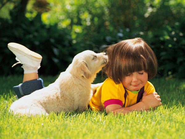 Essential Grooming Tips For Dogs Essential Grooming Tips For Dogs