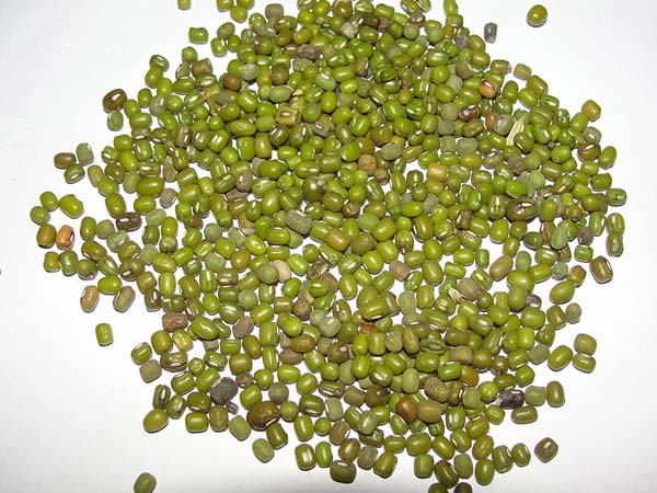 Green Gram For Diabetics Green Gram For Diabetics