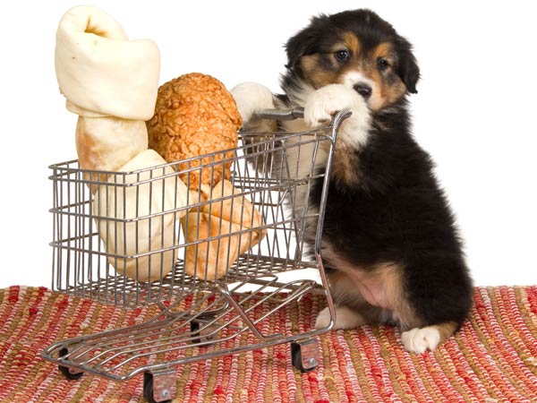 How To Reduce Food Waste? How To Reduce Food Waste?