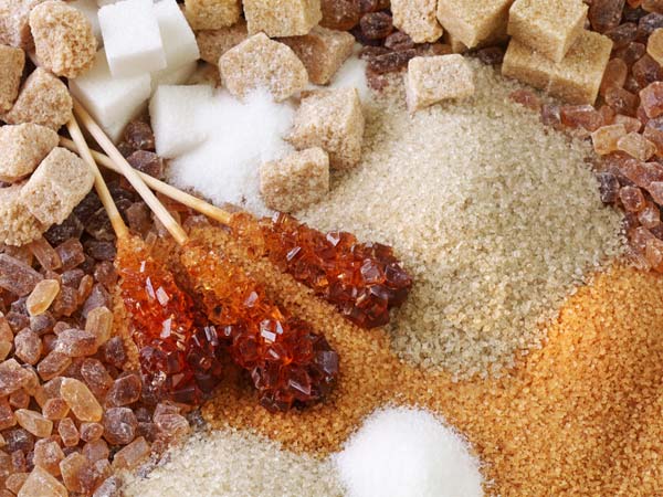 Why Should You Eat Sugar? Why Should You Eat Sugar?
