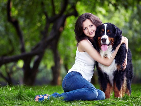 Tips For Choosing The Right Dog Tips For Choosing The Right Dog