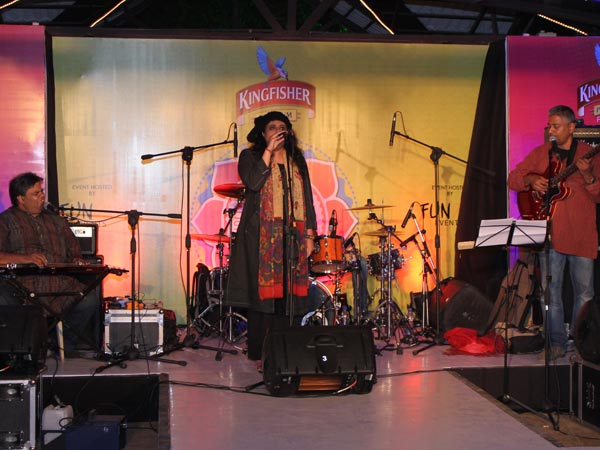 Kingfisher Sunday Soul Sante Kingfisher Sunday Soul Sante