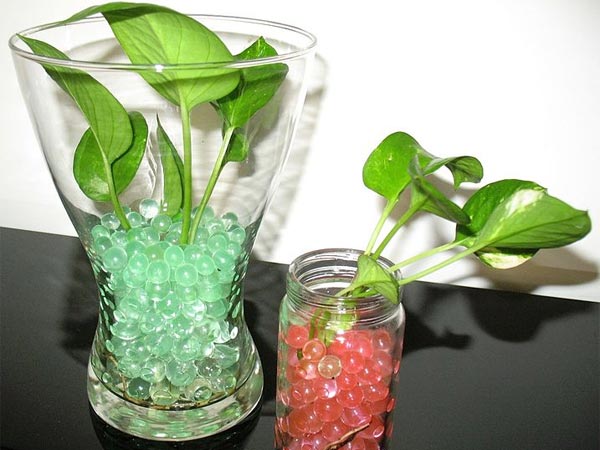 how to make money growing plants indoors