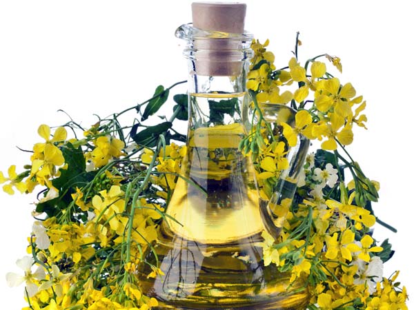 Health Benefits Of Having Mustard Oil Health Benefits Of Having Mustard Oil