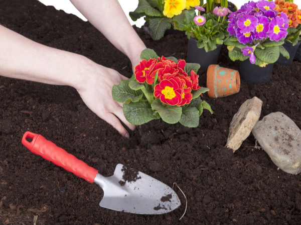 How To Pick Up Garden-Friendly Soil? How To Pick Up Garden-Friendly Soil?