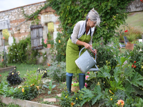 Ways To Prepare Your Garden For Summer Ways To Prepare Your Garden For Summer
