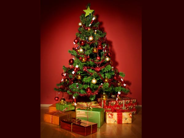 Say Merry Christmas For 12 Days Say Merry Christmas For 12 Days