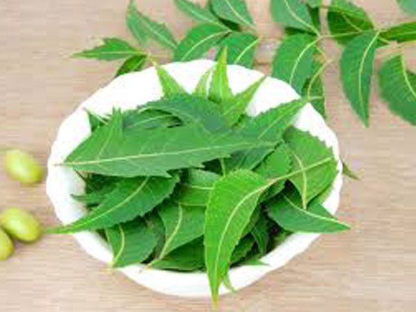 Best ayurvedic treatment for diabetic neuropathy treatment