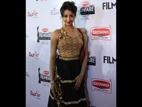 Desi Look At Filmfare Awards South 2015 Desi Look At Filmfare Awards South 2015