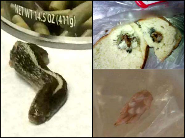Ewww List Of Gross Things Found In Food Boldsky