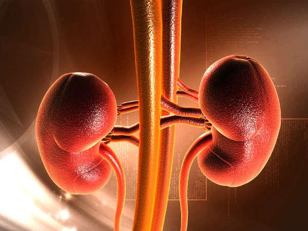 How To Cure Chronic Kidney Disease Naturally How To Cure Chronic Kidney Disease Naturally