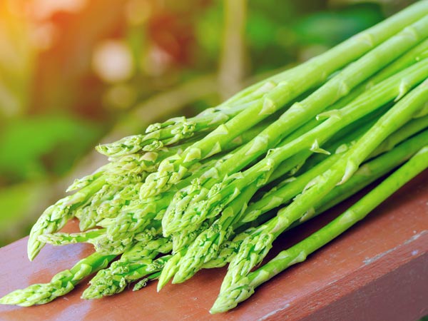 ASPARAGUS | BOLDSKY.COM