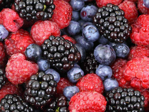 Berries Berries