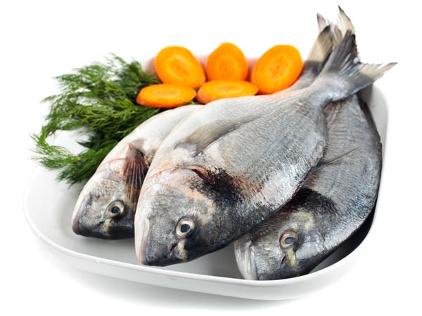 Fish Fish