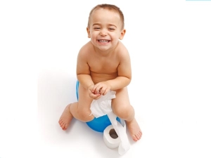 Potty Training Potty Training