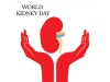 Home Remedies To Treat Kidney Stones Home Remedies To Treat Kidney Stones