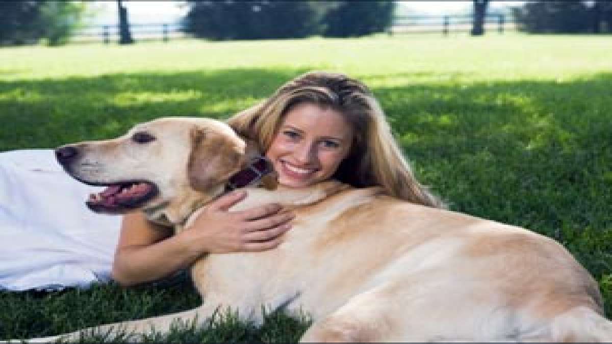 Can You Put Neem Oil On Dogs