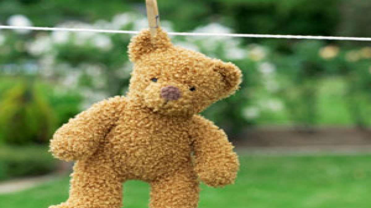 Tips To Wash & Maintain Teddy Bear