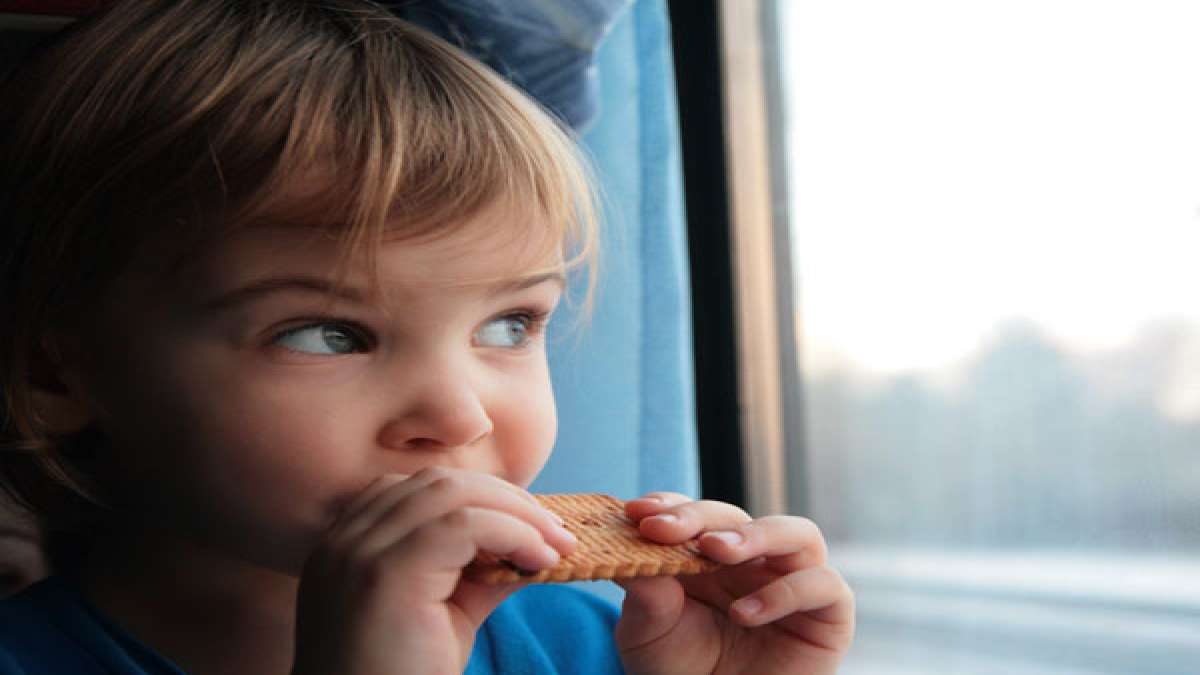 Foods To Carry While Travelling