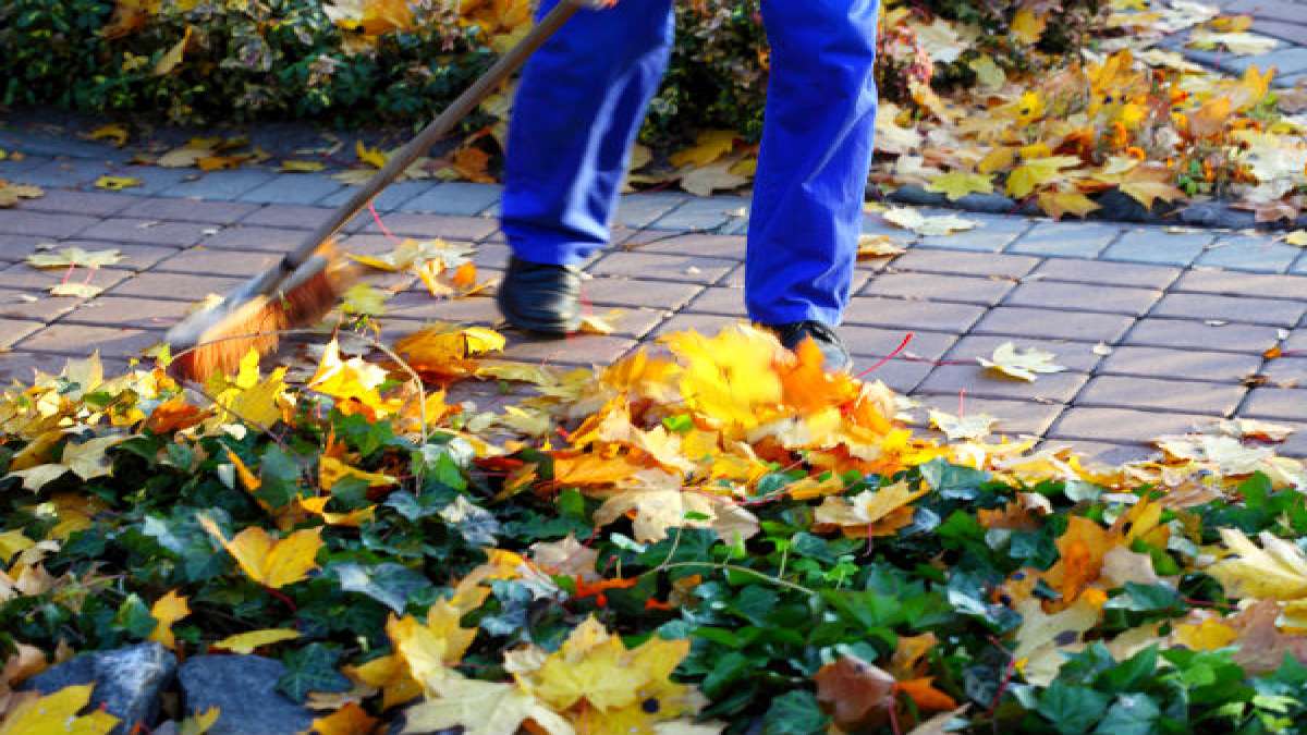 Simple Tips To Clean Your Garden