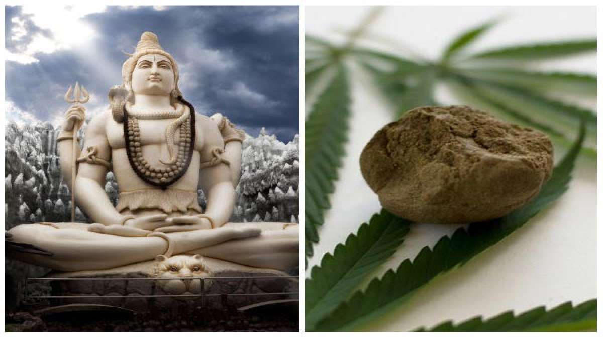 Shivratri Special Why Lord Shiva Drinks Bhang?