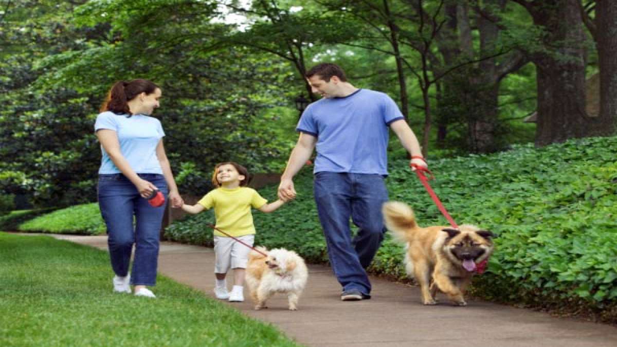 Do Pets Help You Live Longer?