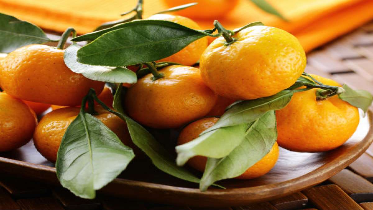 Best Citrus Fruits For Pregnant Women