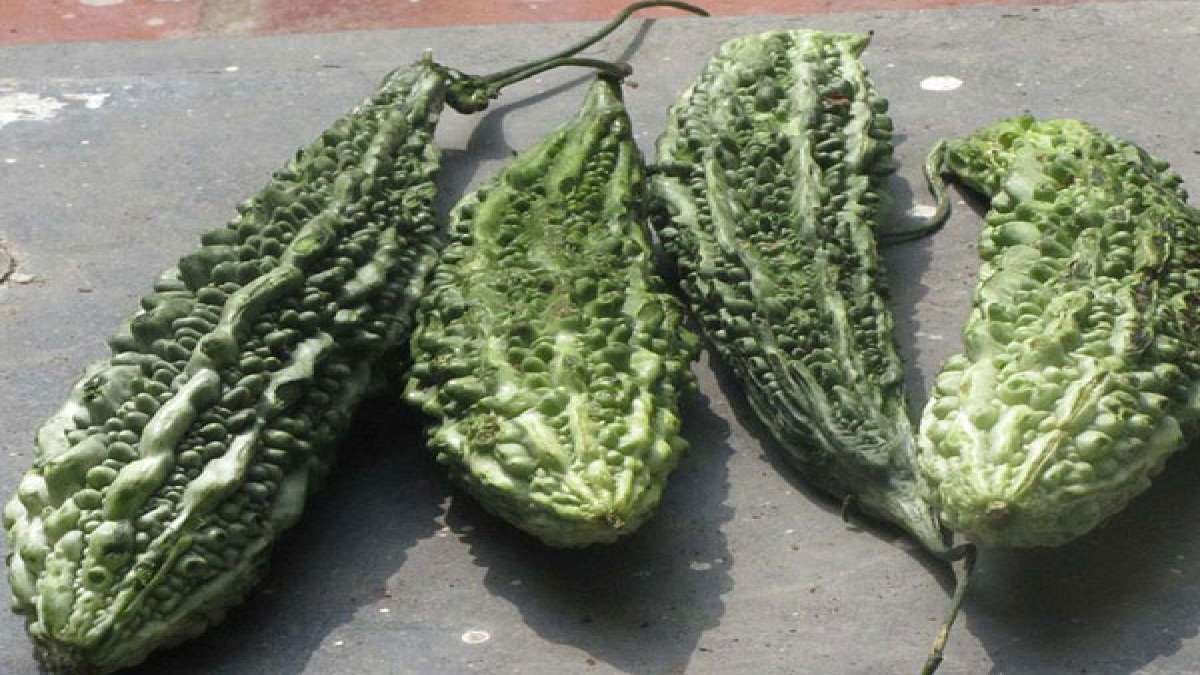 Side Effects Of Bitter Gourd Juice During Pregnancy