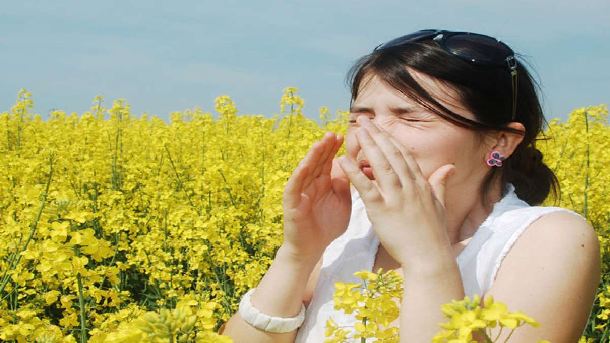 13 Herbal Remedies For Pollen Allergies